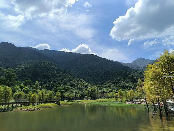 综艺《团建不能停》定档，燃起团队精神大潮